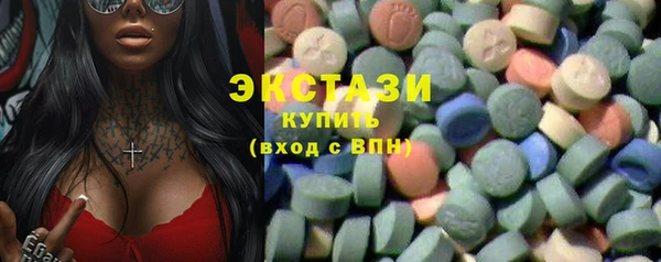 ECSTASY Бородино